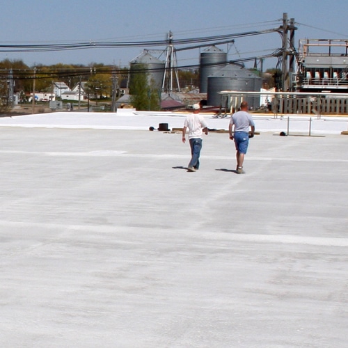 Roofers walk a TPO roof.